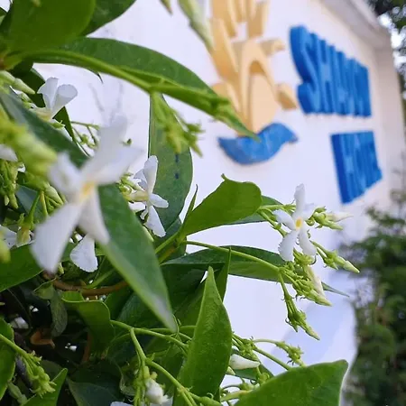 Shadow Bed & Breakfast Kusadasi